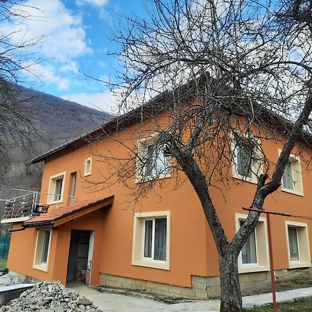 Guest House Lazar Raykov Ribarica Exterior photo