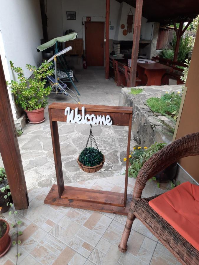 Guest House Lazar Raykov Ribarica Exterior photo