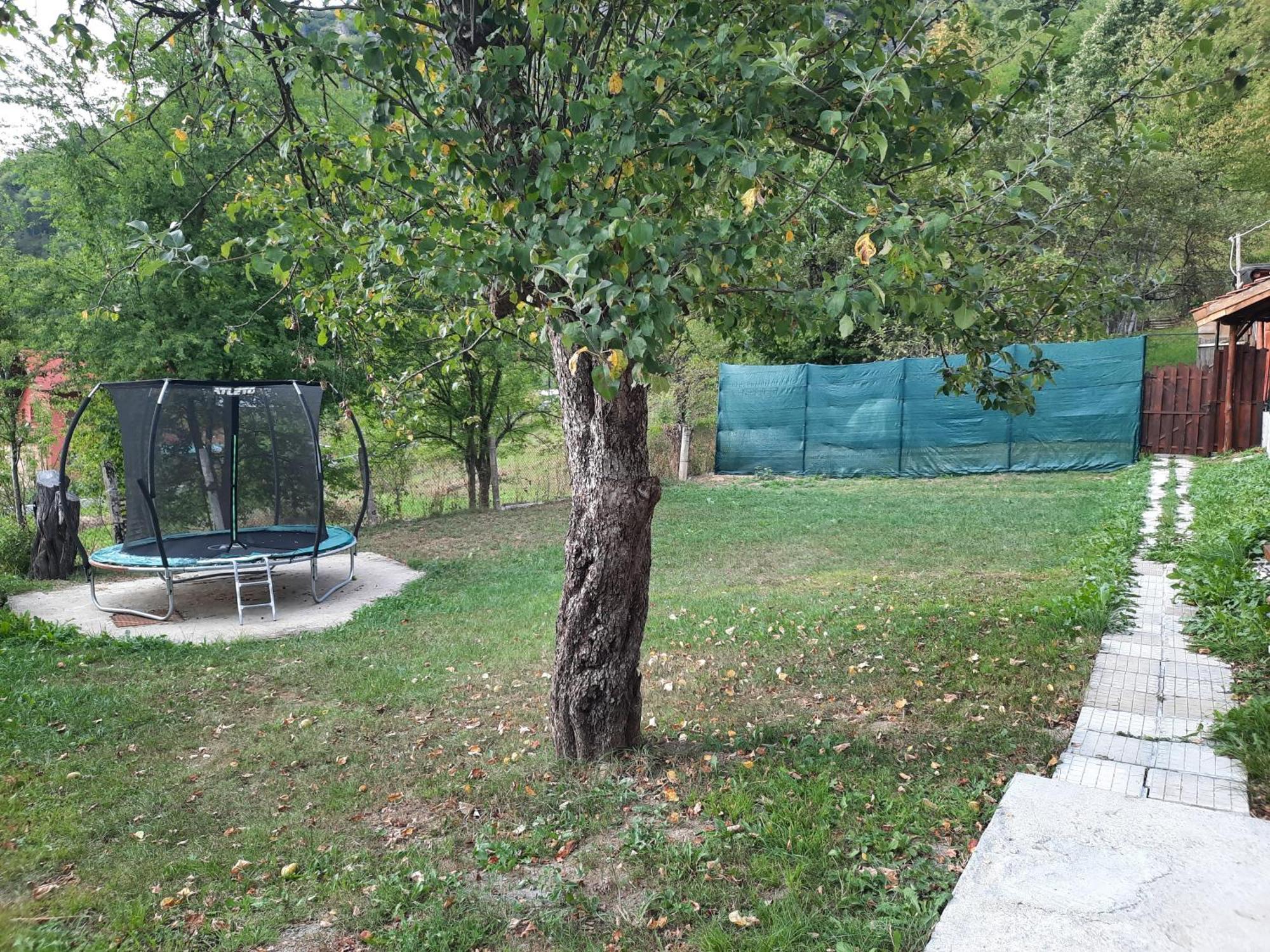Guest House Lazar Raykov Ribarica Exterior photo